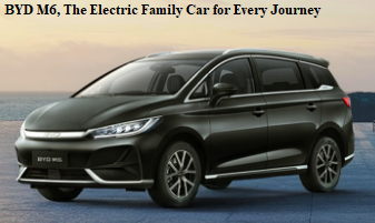 BYD M6