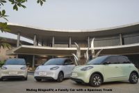 Wuling BinguoEV