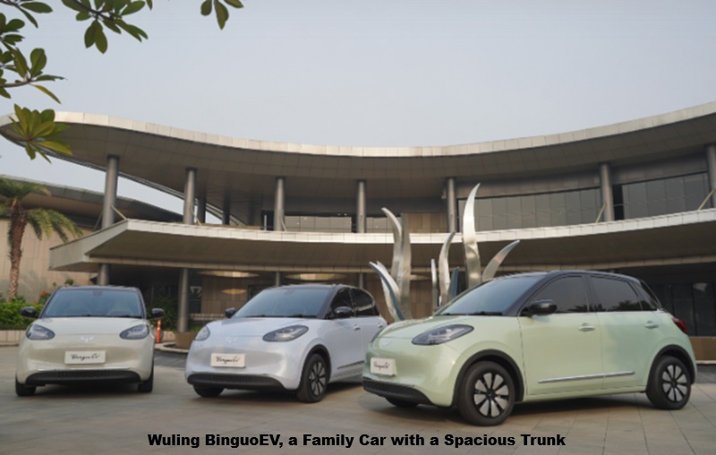 Wuling BinguoEV
